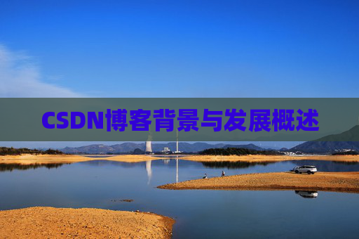 CSDN博客背景与发展概述